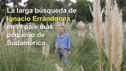 Uruguay: El hombre que lleva 40 años buscando a su hermano