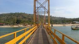 Indonesia: Al menos 9 muertos tras colapso de puente colgante