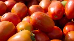Los tomates pierden su sabor en el refrigerador