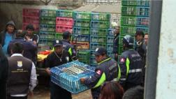 Villa El Salvador: incautan 2 mil pollos en mal estado