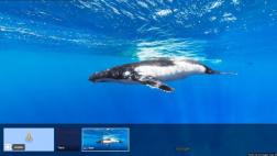 Google Maps: mira el océano por dentro con el aplicativo