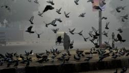 India: El aire se hace irrespirable tras festival hindú