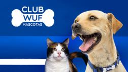 Supermercado apuesta por ayudar a miles de perros