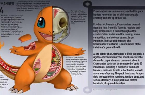 Pokémon Go: artista diseña el interior de los pokémones
