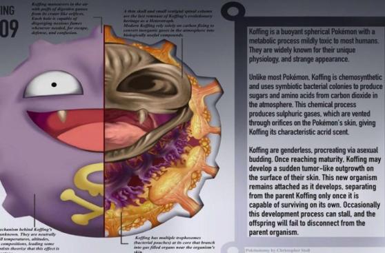 Pokémon Go: artista diseña el interior de los pokémones