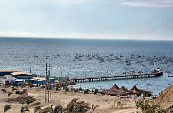Piura: Mincetur apoya reserva Mar Pacífico Tropical