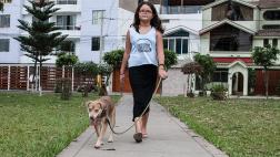 5 consejos para un paseo tranquilo