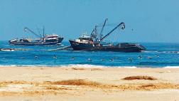 Pesca daría 1,3 puntos porcentuales a PBI del cuarto trimestre
