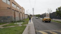 “Verde que no es verde”, por Angus Laurie