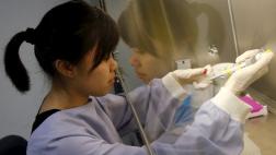 Sube el número de mujeres que registran patentes científicas