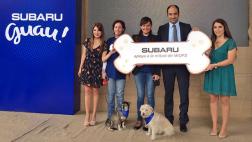 Marca de auto fortalece amistad entre perros y humanos