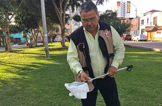 El no recojo de heces impulsa la creatividad