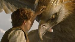 "Fantastic Beasts": una historia llena de magia y "corazón"