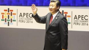 Xi Jinping se ganó las palmas con analogía del camote y China