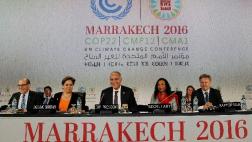 Principales ONG deploran resultado modesto de la COP22