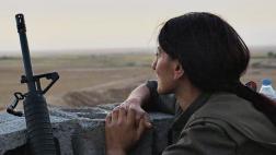 Festival Transcinema: Películas que muerden