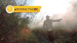 Incendios forestales afectan a 10 regiones en solo una semana