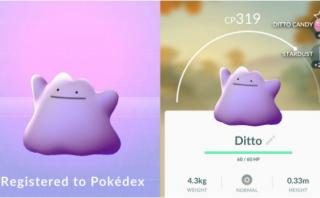 Pokémon Go: El pokemon Ditto ya puede ser capturado