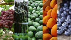 Seis productos impulsarán las agroexportaciones al 2021