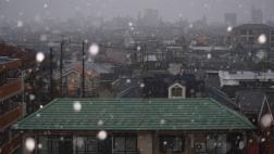Tokio: Cae la primera nevada en noviembre en más de 50 años