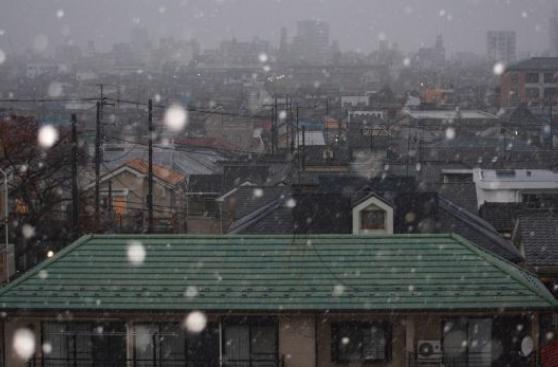 Tokio: Cae la primera nevada en noviembre en más de 50 años