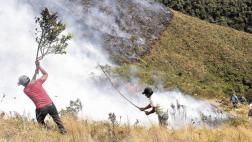 Logran controlar incendios en 4 áreas naturales protegidas