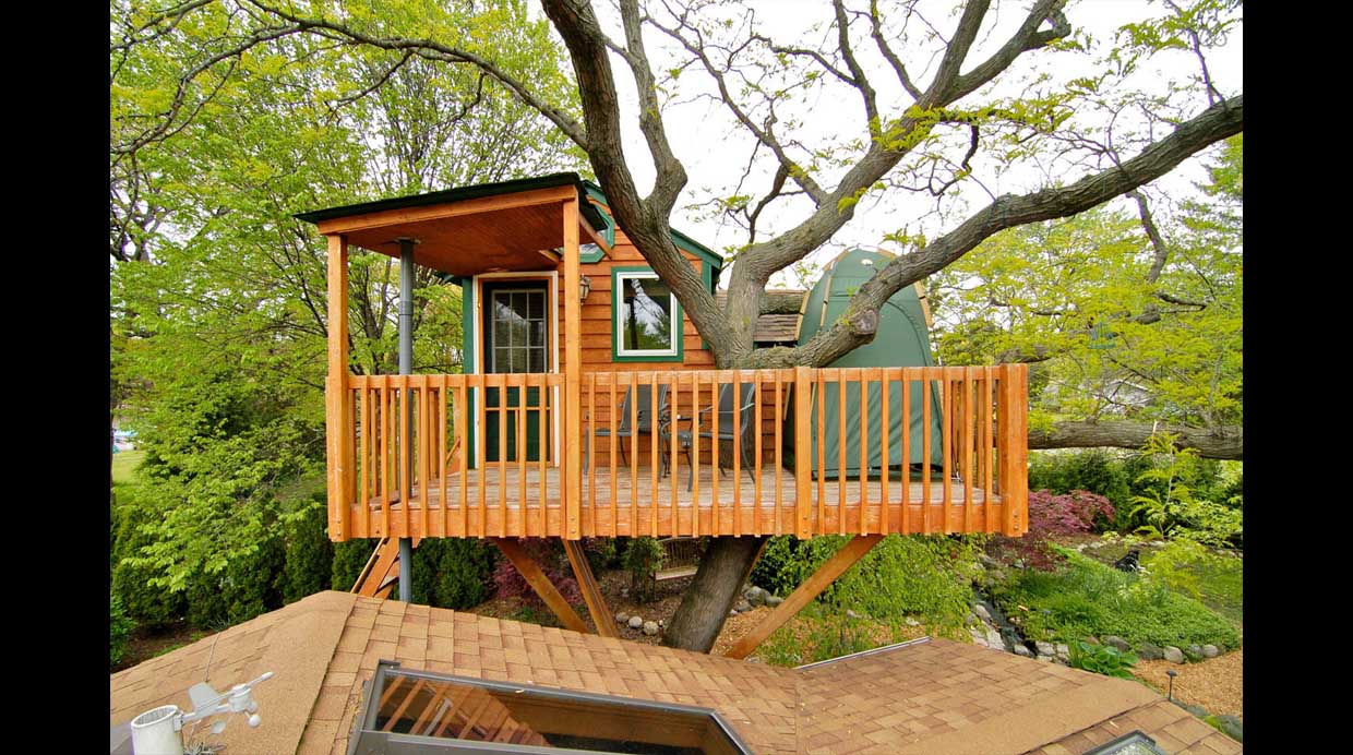 Airbnb: No creerás lo acogedoras que son estas casas en árboles