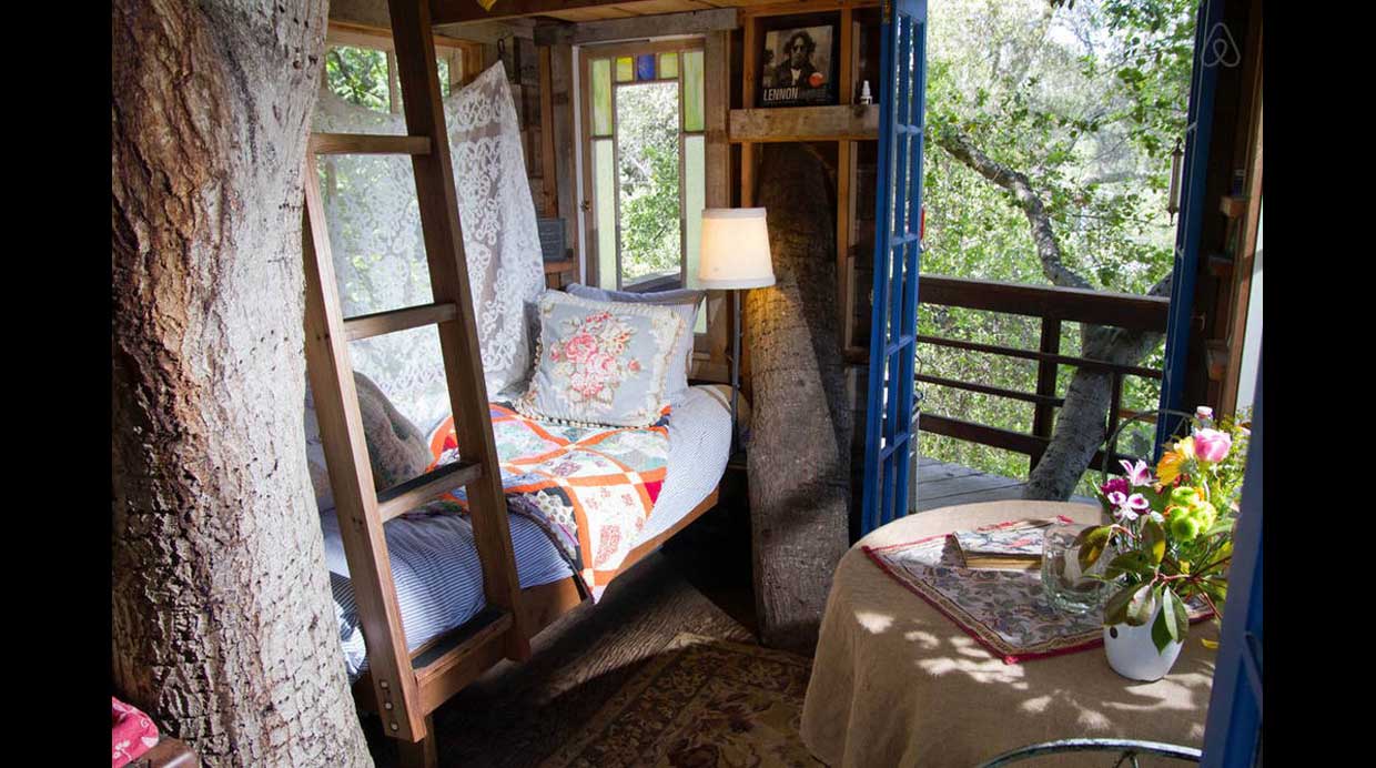 Airbnb: No creerás lo acogedoras que son estas casas en árboles