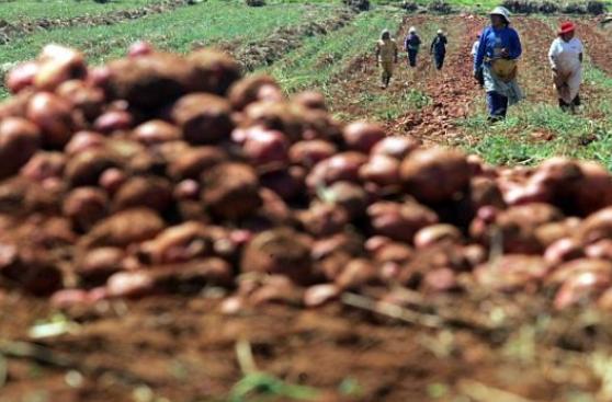 Japonesa Mitsui y Grupo Romero crean firma conjunta ¿para qué?