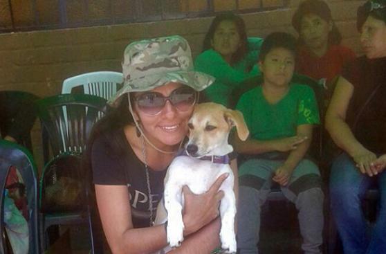 Campaña gratuita esterilizó a 30 mascotas en Surco
