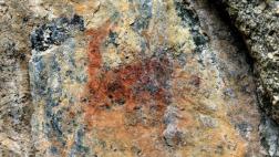 Machu Picchu: nuevas evidencias arqueológicas en camino inca