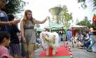 Perros desfilaron con disfraces navideños en Surco
