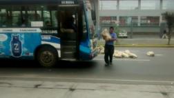 Detuvieron tránsito para llevarse bolsas de cemento de la pista