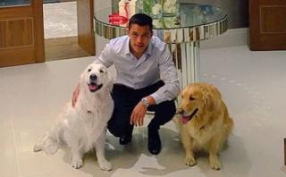 Alexis contó curiosidades de sus perros en charla con Arsenal