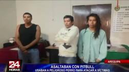 Arequipa: Banda usaba a perro pitbull para asaltar a víctimas