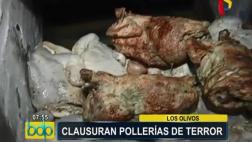 Los Olivos: cierran pollerías en las que se hallaron cucarachas