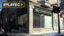 Montreal abrió ocho tiendas de marihuana antes de legalización