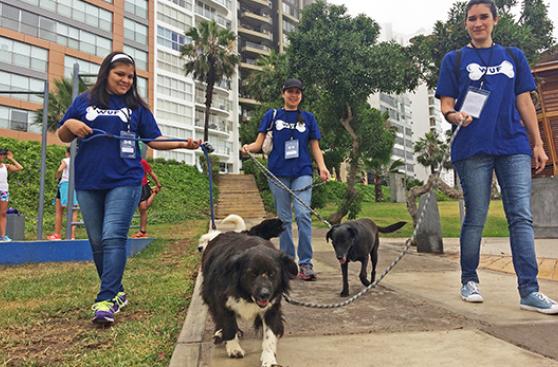 Eventos con mascotas para este fin de semana