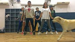 Túpac, fiel guardián de nuestros jóvenes bailarines