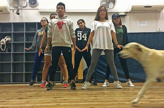 Túpac, fiel guardián de nuestros jóvenes bailarines