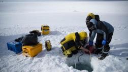 Un robot graba la vida bajo el hielo en la Antártida