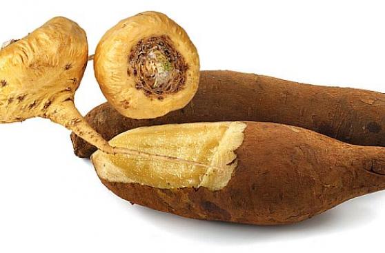 EE.UU. piensa elaborar suplementos en base al yacón y la maca