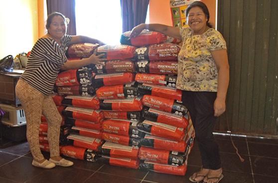 Cientos de perros fueron beneficiados con sorpresa de Navidad