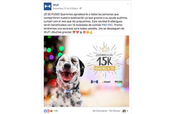 Cientos de perros fueron beneficiados con sorpresa de Navidad