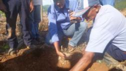 Reforestan suelos degradados en el Vraem