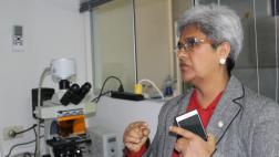 Elaborarán primer catálogo de especies marinas del Perú