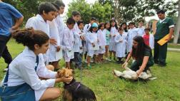 Taller de ‘minivets’ educará sobre cuidado de mascotas