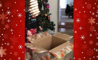 El final feliz en Navidad para una niña gracias a un gato