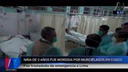 Cusco: niña de 2 años fue mordida por murciélago en la cabeza
