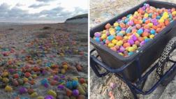 Twitter: playa alemana amanece repleta de huevos sorpresa